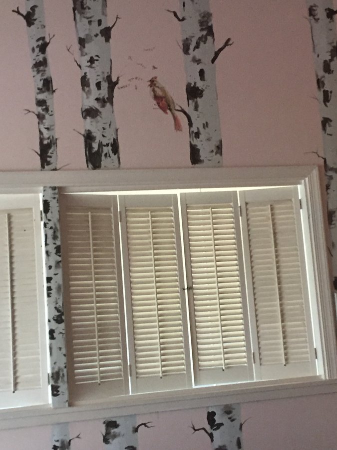Birch tree mural detail above the window shutters, Palm Beach, FL