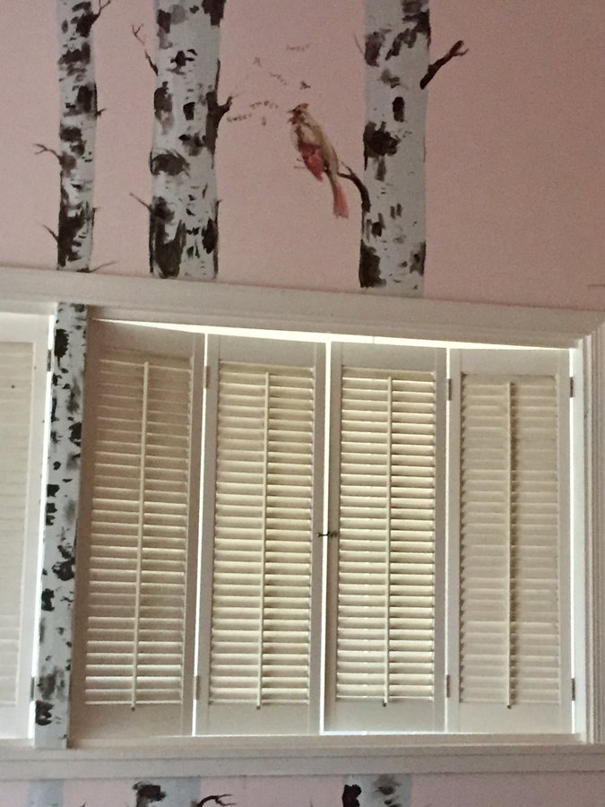 Second view of the birch tree mural above the window shutters, Palm Beach, FL