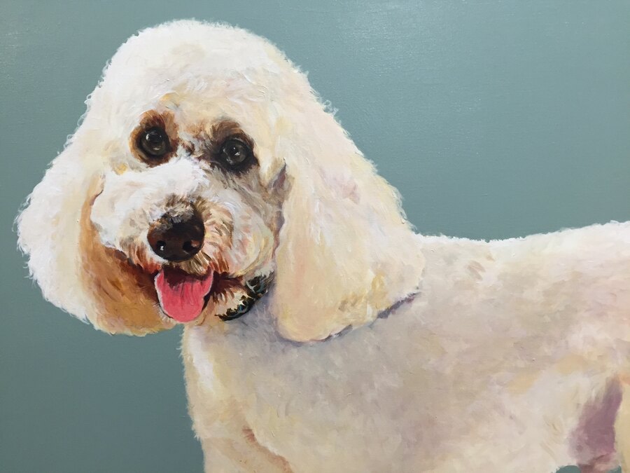 Realistic Poodle pet portrait by Maureen Fulgenzi — Teal bg palette, Palm Beach, FL