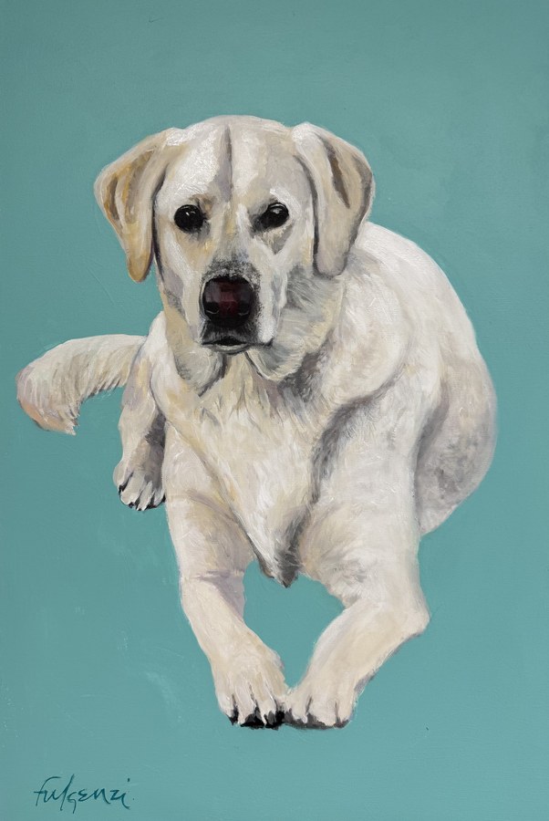 Realistic Yellow Lab pet portrait by Maureen Fulgenzi — Aqua bg palette, Palm Beach, FL