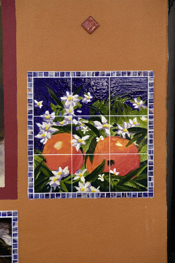 Wide installation view of the Historic Stuart tile mural on the downtown Stuart building facade, by Maureen Fulgenzi — view 23, Palm Beach, FL